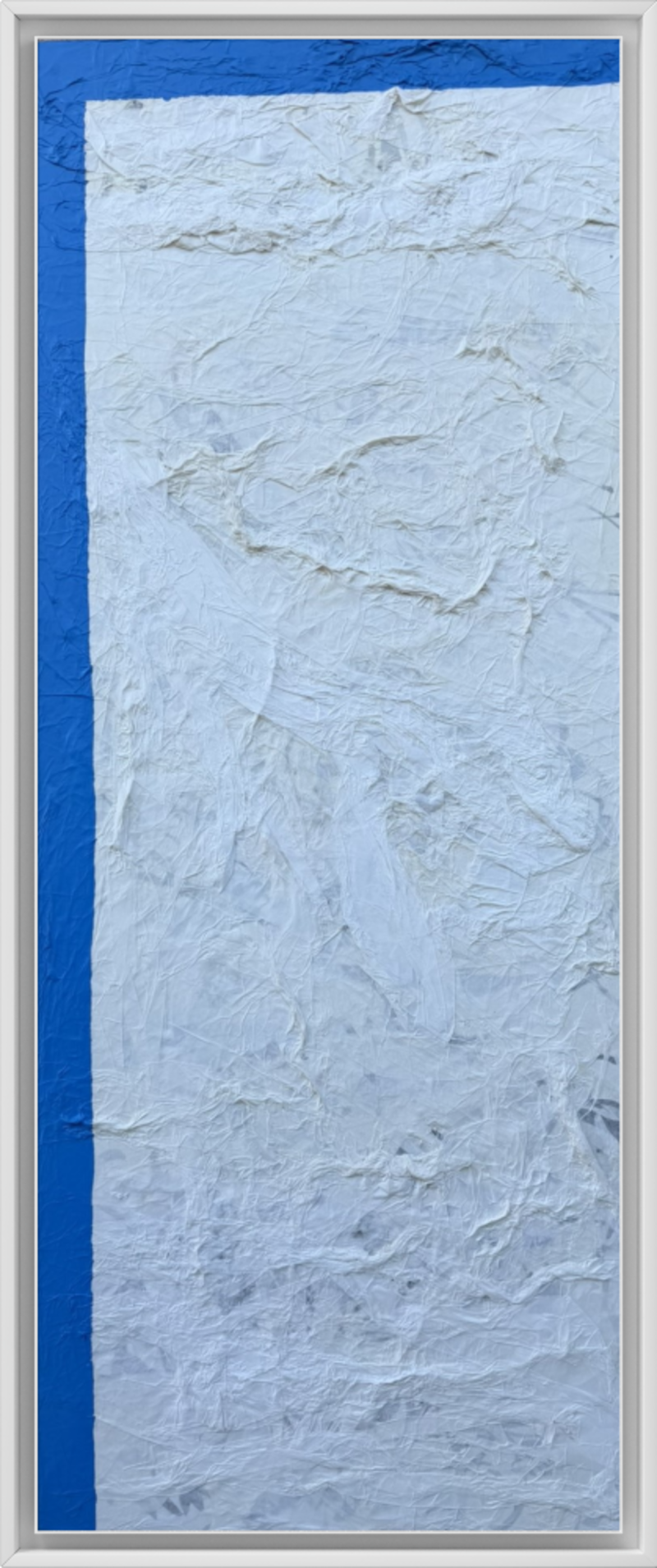 The Light in a Dark World: Blue Sentinel