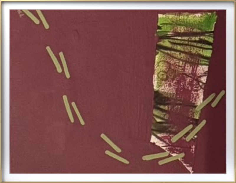 The Chopsticks Series: Connection of Life